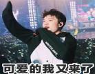 团宠本身就是大佬离殇言